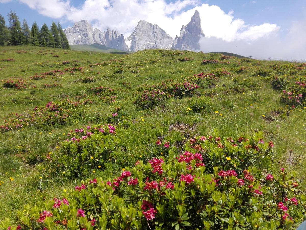 Affittacamere Villa Sole Fiera Di Primiero Exteriér fotografie